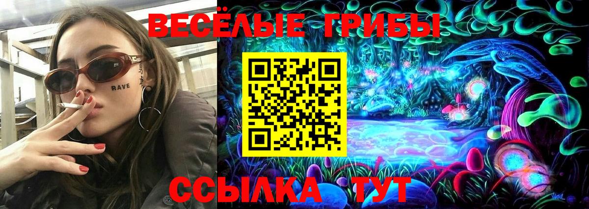продажа наркотиков  Галлюциногенные грибы Cubensis  Вход с VPN  Георгиевск 