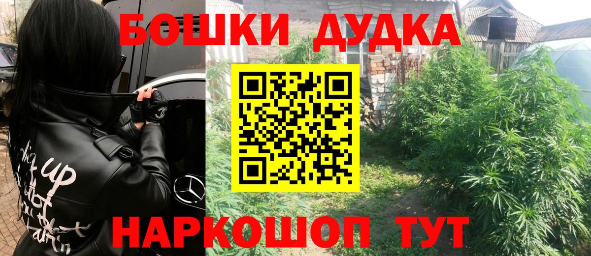 Шишки марихуана Amnesia Георгиевск